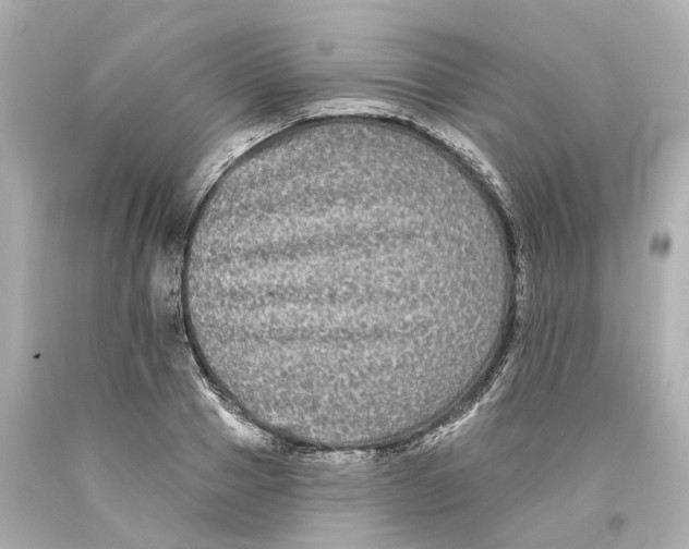 X0000093580937200711051115