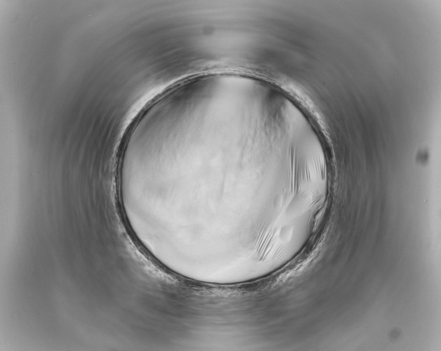 X0000093580941200711051115