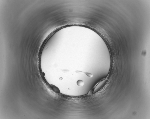 X0000093580942200711051115