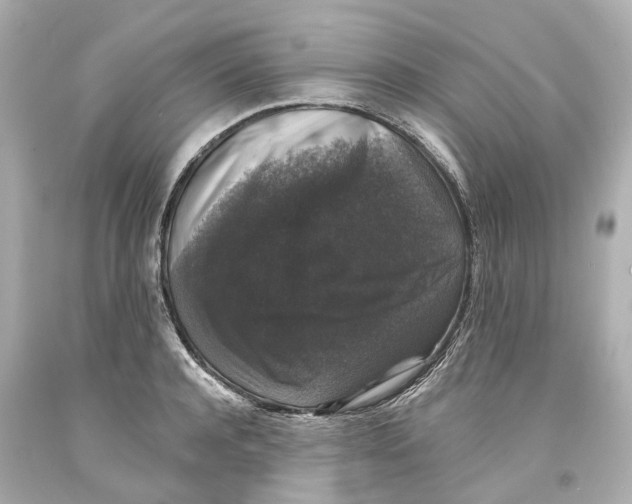 X0000093580944200711051115