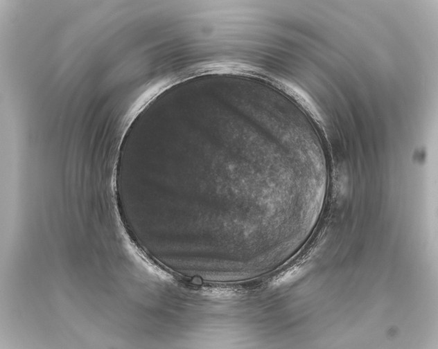 X0000093580946200711051115