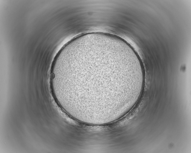 X0000093580949200711051115