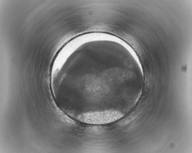 X0000093580950200711051115