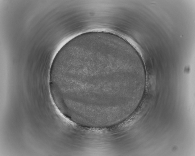 X0000093580951200711051115