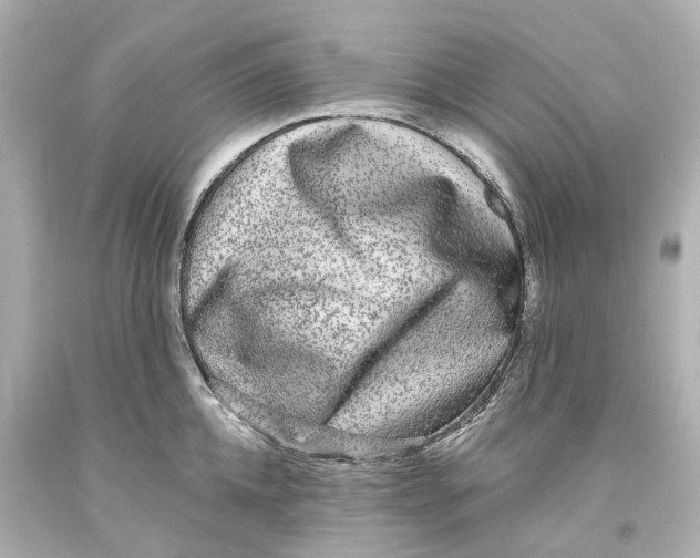 X0000093580952200711051115