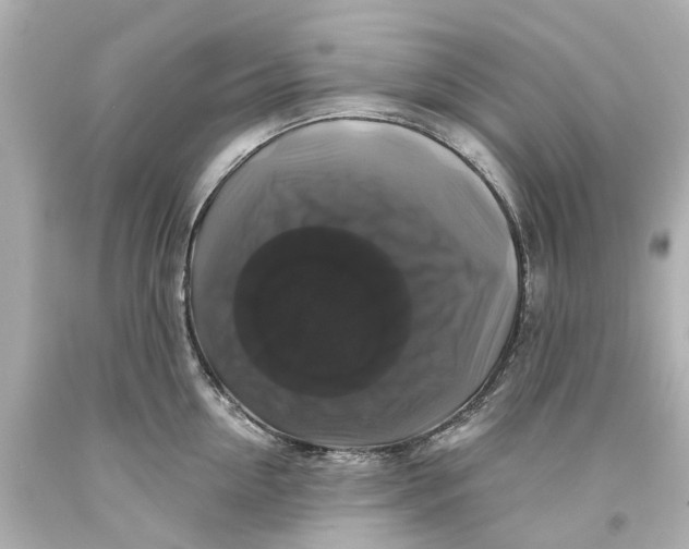 X0000093580954200711051115