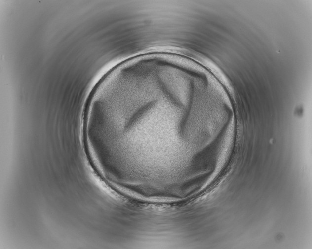 X0000093580955200711051115