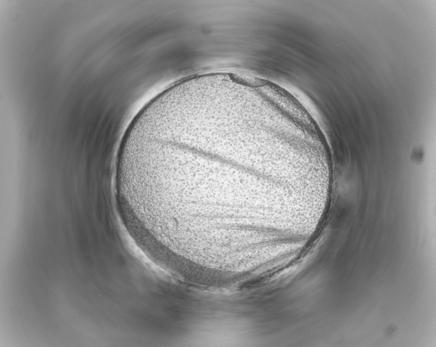 X0000093580957200711051115