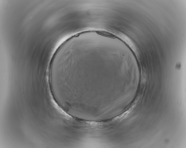 X0000093580958200711051115