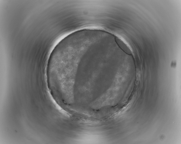 X0000093580959200711051115