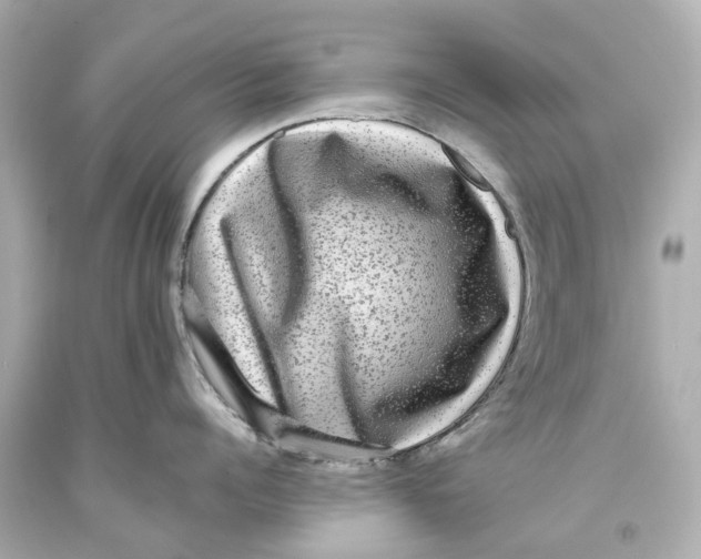 X0000093580960200711051115