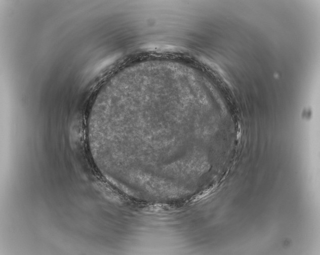 X0000093580966200711051115