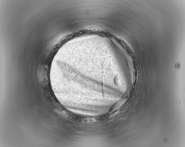 X0000093580968200711051114