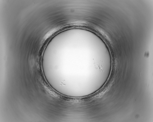 X0000093580970200711051114