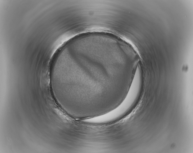 X0000093580973200711051114