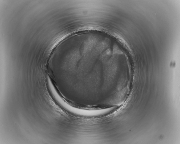 X0000093580977200711051114