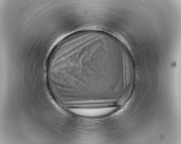 X0000093580981200711051114