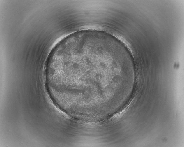 X0000093580983200711051114