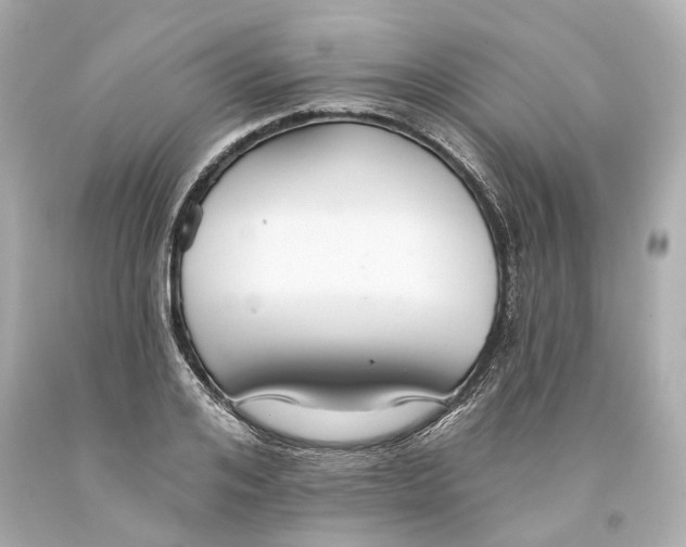 X0000093580984200711051114