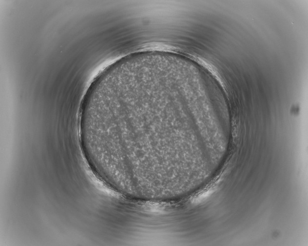 X0000093580987200711051114