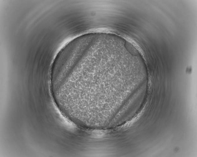 X0000093580989200711051114