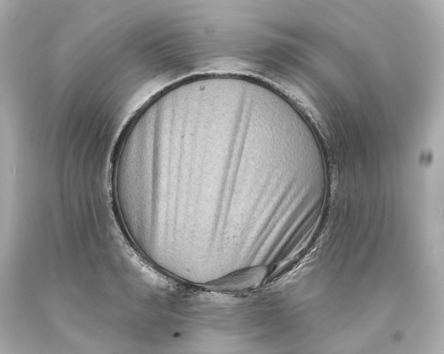 X0000093580990200711051114