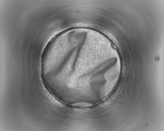 X0000093580992200711051114