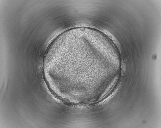 X0000093580993200711051114