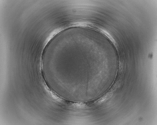 X0000093580994200711051114