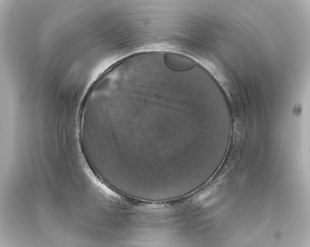 X0000093580998200711051114