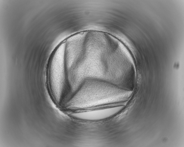 X0000093580999200711051114