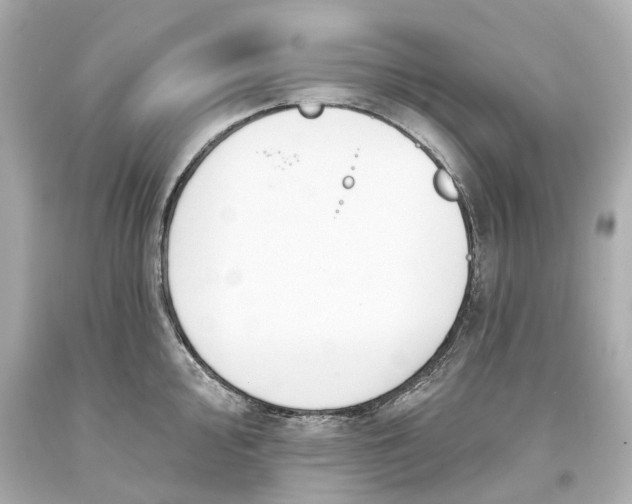 X0000093581000200711051114