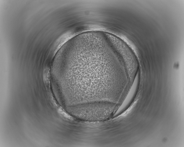 X0000093581001200711051114