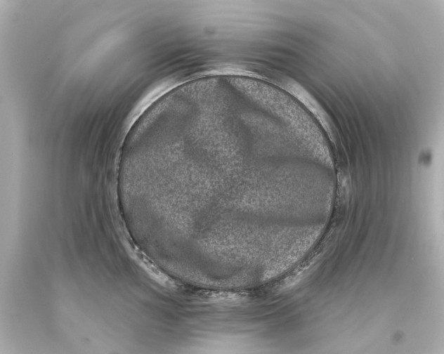 X0000093581002200711051114