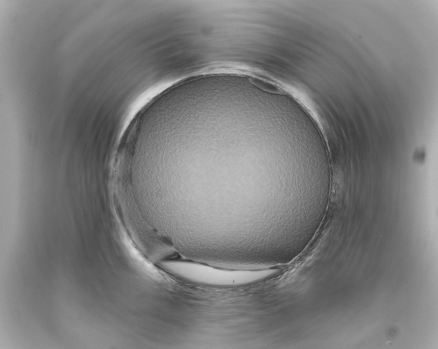 X0000093581003200711051114