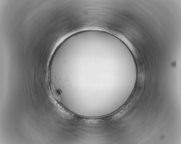 X0000093581004200711051114