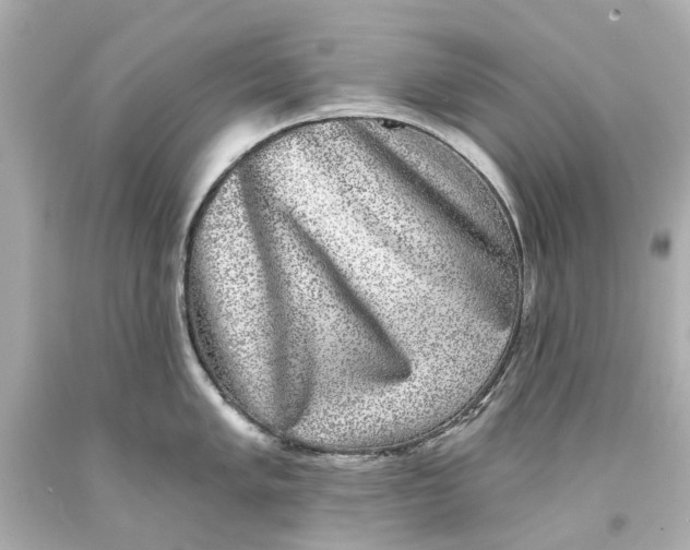 X0000093581005200711051114