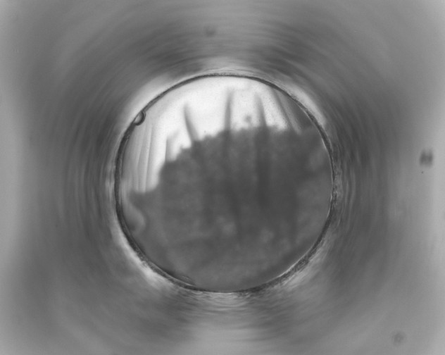 X0000093581007200711051114