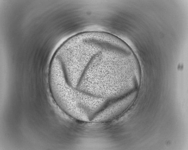 X0000093581008200711051114