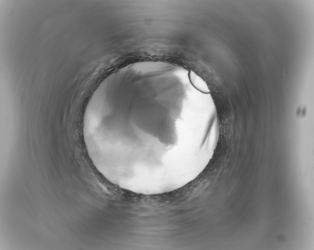 X0000093581009200711051113