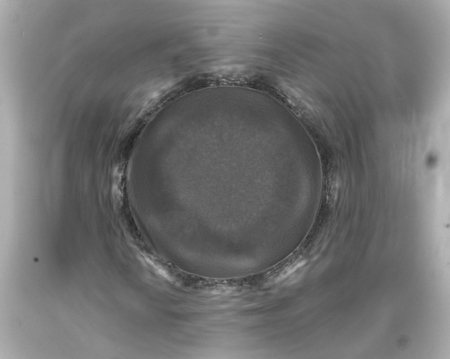 X0000093581010200711051113