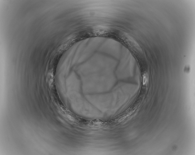 X0000093581011200711051113