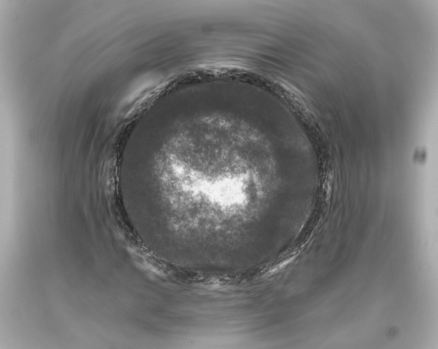 X0000093581014200711051113