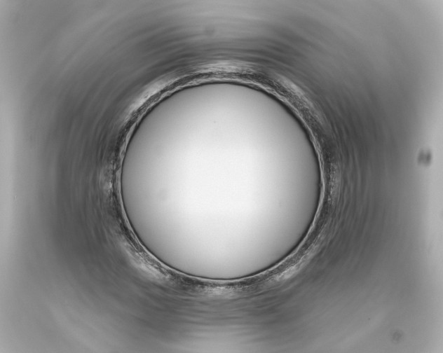 X0000093581017200711051113