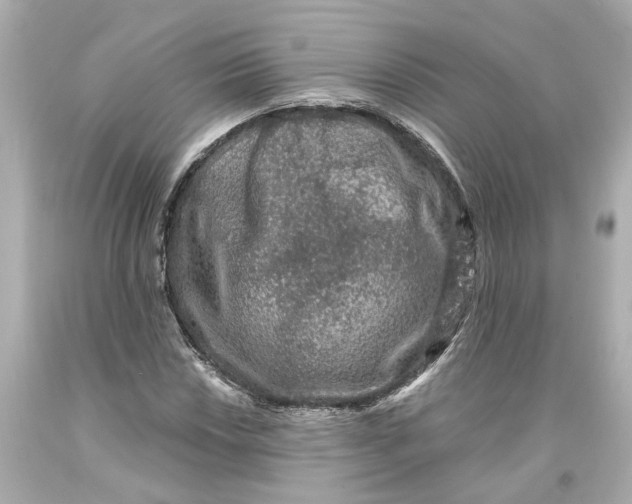 X0000093581018200711051113