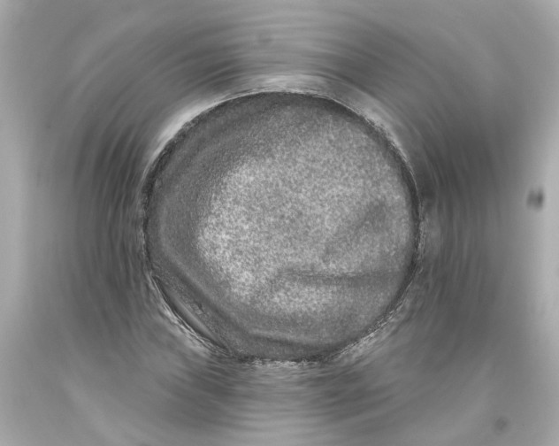 X0000093581019200711051114