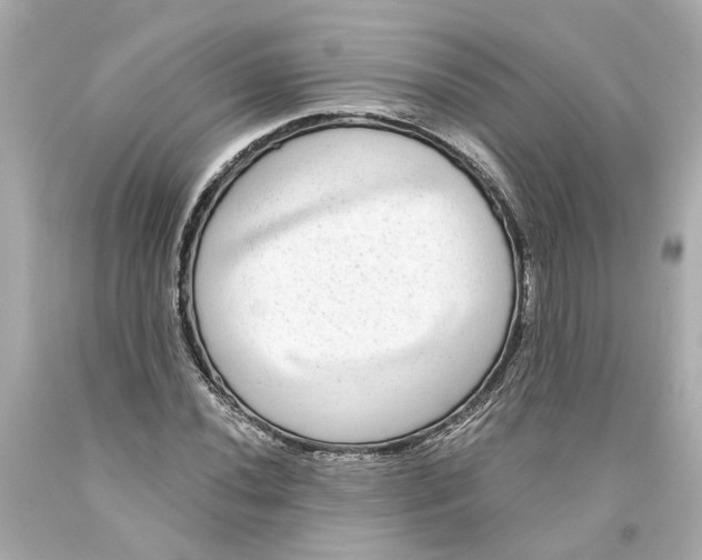 X0000093581020200711051114