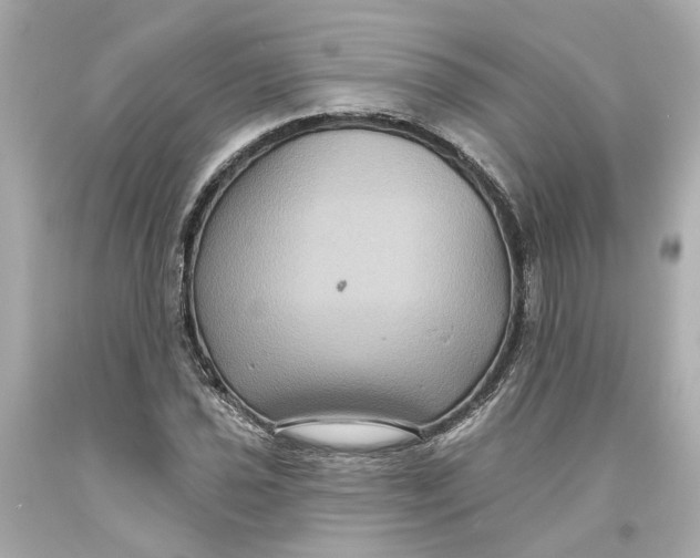 X0000093581021200711051114