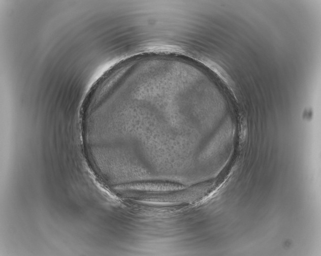 X0000093581022200711051114