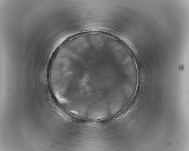 X0000093581023200711051114